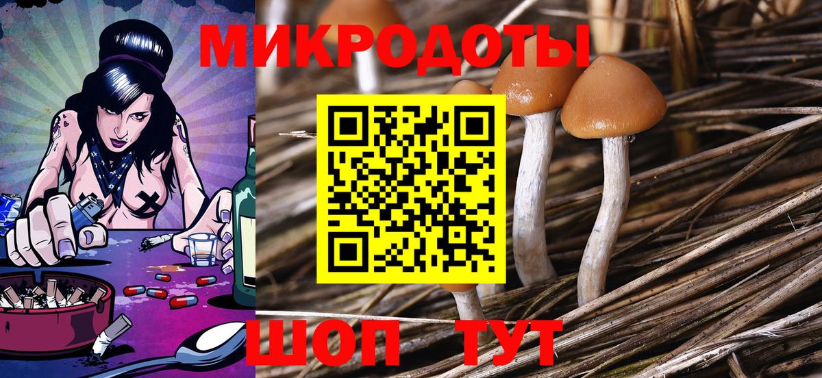 купить наркотики сайты  Вход с VPN  Алейск  Псилоцибиновые грибы Psilocybine cubensis 